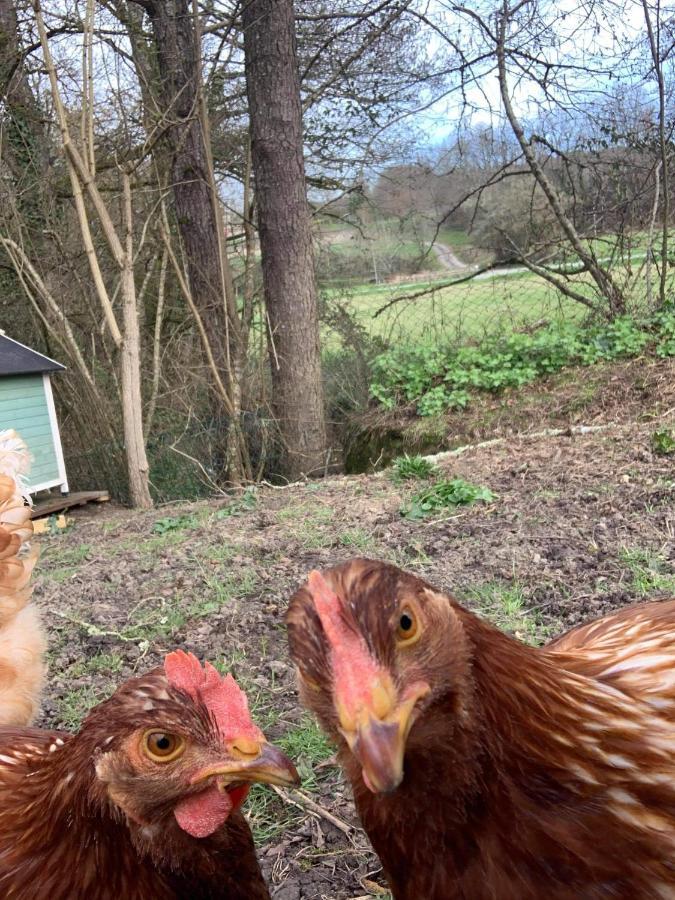 Gite Moulin De Lausseignan Barbaste Eksteriør bilde